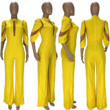 Mesh Panel Sexy Jumpsuit