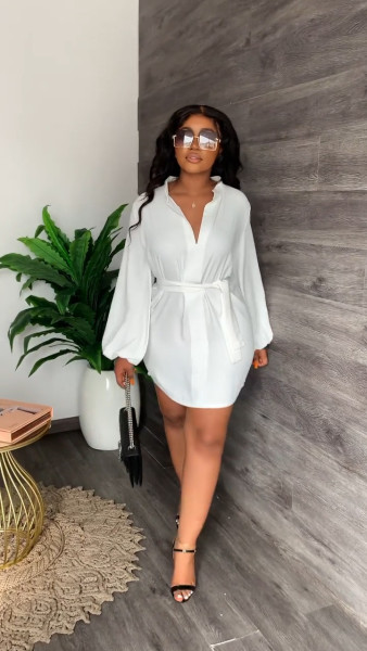 Women's Spring Autumn V-Neck Casual Puff Sleeve Dress with Belt