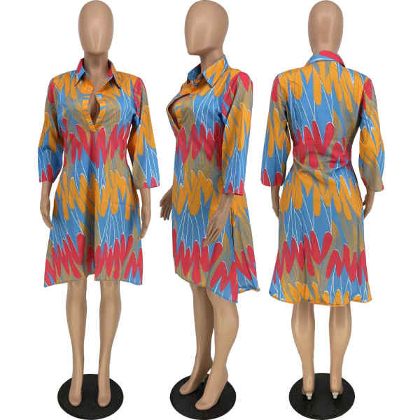 Fashion Positioning Print Shirt Dress