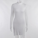 Small turtleneck woolen dress temperament women's sexy slim commuter long-sleeved skirt