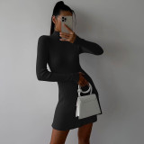 Small turtleneck woolen dress temperament women's sexy slim commuter long-sleeved skirt