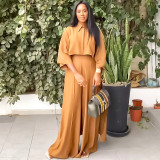 Plus Size Women's Two Piece Solid Color Loose Casual Suit