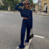 Long Sleeve T-Shirt Two Piece Slim Fit Blue Pleated Wide Leg Pants Set