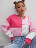 Cropped Fleece Contrast Panel Crew Neck Sweatshirt