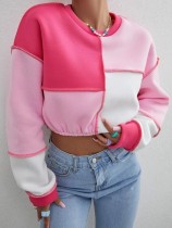 Cropped Fleece Contrast Panel Crew Neck Sweatshirt