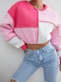 Cropped Fleece Contrast Panel Crew Neck Sweatshirt