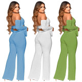 Thread sleeved irregular pleated wide leg pants two-piece set