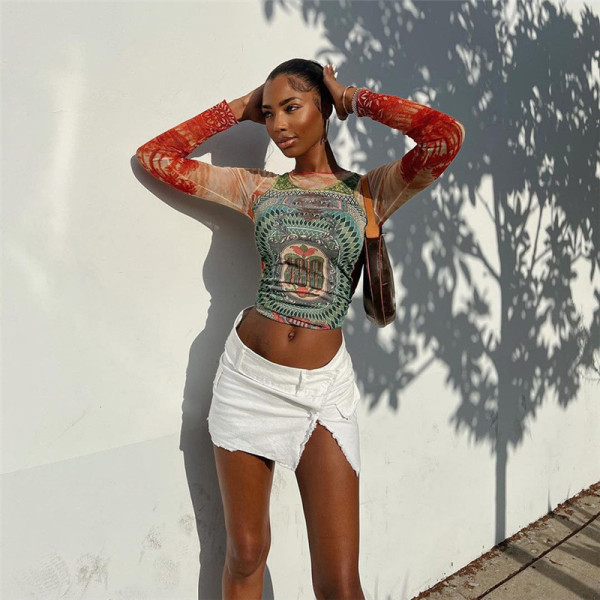 Fashion Print Round Neck Street Trendy Mesh Contrast Color Long Sleeve Top