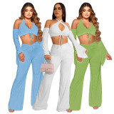 Thread sleeved irregular pleated wide leg pants two-piece set