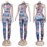 Sexy slim print two piece set