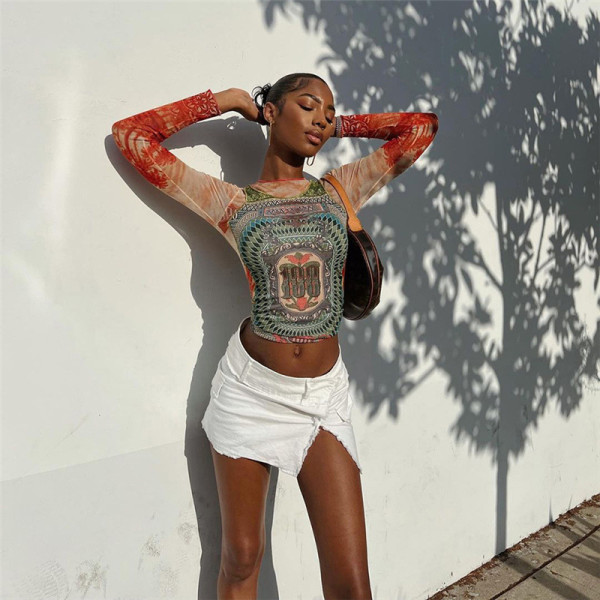 Fashion Print Round Neck Street Trendy Mesh Contrast Color Long Sleeve Top