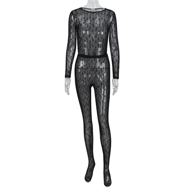 Mesh Flocking Perspective Street Sexy Pants Set