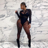 Mesh Flocking Perspective Street Sexy Pants Set