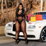 Mesh Flocking Perspective Street Sexy Pants Set