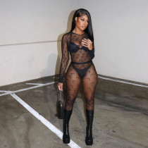 Mesh Flocking Perspective Street Sexy Pants Set