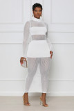 Sexy Solid Color Mesh Panel Long Sleeve Dress