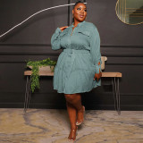 Solid Color Round Neck Single Breasted Women's Blouse Plus Size Women's Long Sleeve Pleated Dress