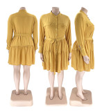 Solid Color Round Neck Single Breasted Women's Blouse Plus Size Women's Long Sleeve Pleated Dress