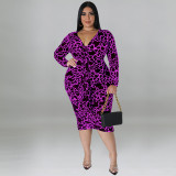 Plus Size Women's Sexy Bag Hip Leopard Print Multicolor Long Sleeve Long Dress