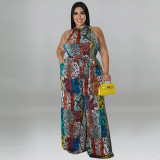 Trendy Resort Style Casual Print Multicolor Jumpsuit