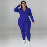 Plus Size Hood Long Sleeve Pants Fashion Casual Set