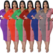 Plus Size Long Sleeve Shirt Collar Colorblock Dress