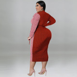 Plus Size Long Sleeve Shirt Collar Colorblock Dress
