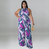 Trendy Resort Style Casual Print Multicolor Jumpsuit