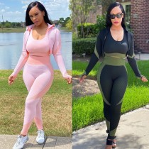 Sexy Women's Elastic Waist Bodysuit