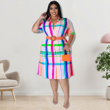 Plus Size Women's Checkered Short Sleeve Shirt Dress