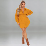 solid color autumn long sleeve long shirt