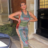 Sexy Mesh See-Through Contrast Paneling Skinny Sleeveless Long Dress