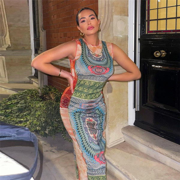 Sexy Mesh See-Through Contrast Paneling Skinny Sleeveless Long Dress
