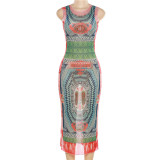 Sexy Mesh See-Through Contrast Paneling Skinny Sleeveless Long Dress