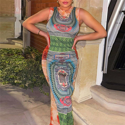 Sexy Mesh See-Through Contrast Paneling Skinny Sleeveless Long Dress