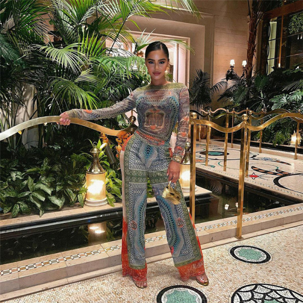 Fashion Print Sexy Sheer Long Sleeve Top High Waist Slim Fit Long Suit