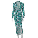 Fashionable temperament polo collar single breasted cardigan gathered waist print dress