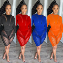 Fashion Women's Mesh Perspective Round Neck Pants Long Sleeve Two Piece Set