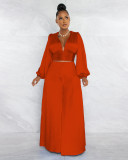 Pleated sexy V-neck top wide leg pants casual suit