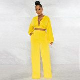 Milk silk solid color long sleeve fashion casual two-piece set