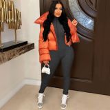 Fashion high collar scarf design women's cotton jacket coat