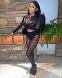Women's sexy hollow underwear sexy mesh perspective 2-piece set