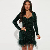 Sexy Perspective Hot Drill Dress Long Sleeve Feather Dress