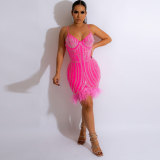 Scalded Feather Dress