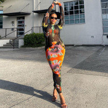 Fashion printed slim round neck long sleeve temperament long skirt Fashion printed slim round neck long sleeve temperament long skirt