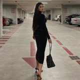 Fashion solid color slim fitting high collar long sleeve temperament dress