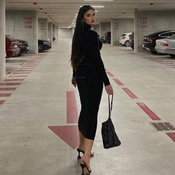 Fashion solid color slim fitting high collar long sleeve temperament dress