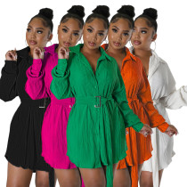 Fashion Pleated Long Sleeve Waist Shirt Belt Dress