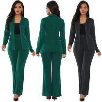 Solid suit, professional dress, sexy two-piece suit Solid suit, professional dress, sexy two-piece suit