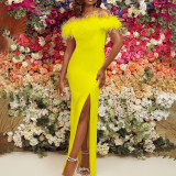 Fashionable Feather Party Evening Dress Dress Celebrity Dress